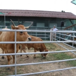 Farmer-expo 2022